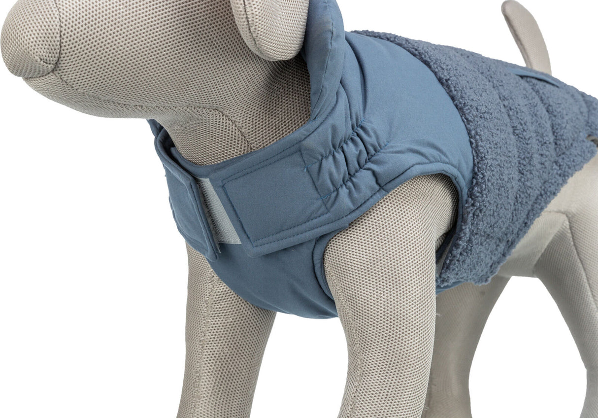 Ein graues Hunde-Model trägt eine blaue Jacke mit Klettverschluss und flauschigem Stoff auf dem Rücken.