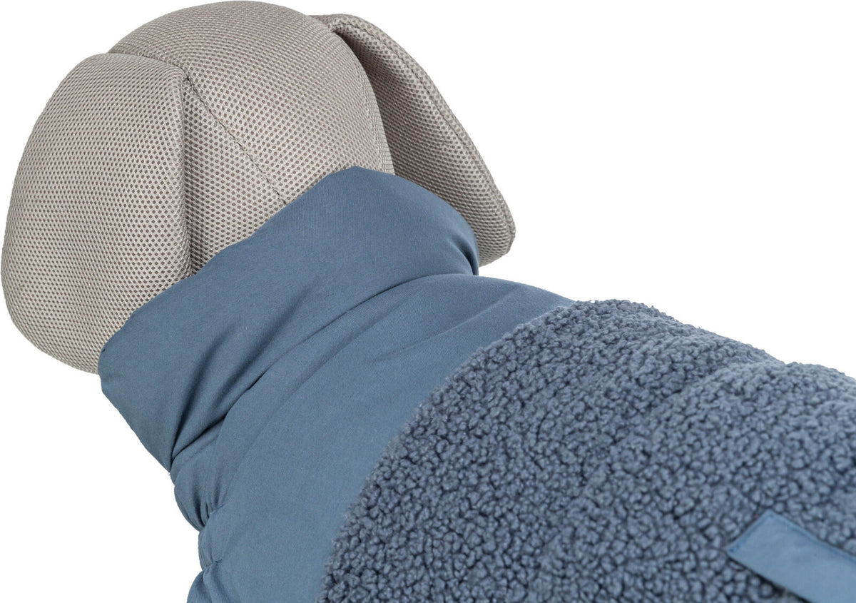 Ein graues Hundemodell trägt eine blaue Jacke mit weichem, strukturiertem Fleece und hochgestellten Ohren.