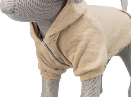 Graues Hundemodell trägt beigefarbenen Hundepullover mit Kapuze, Aufdruck "BE NORDIC" sichtbar.