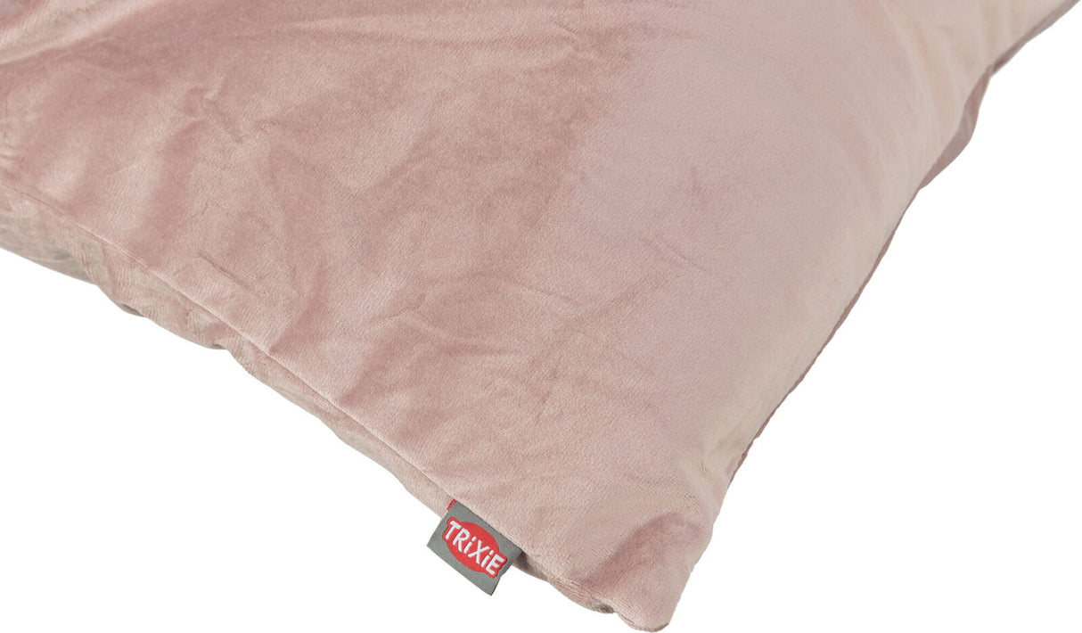 PHO_PRO_DET_CLIP_927119-2