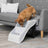 PHO_PRO_DOG_01-39475-1