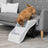 Ein kleiner Hund steigt eine weiße, dreistufige Haustiertreppe hinunter, neben einem grauen Sofa auf Holzfußboden.