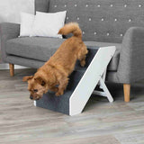 PHO_PRO_DOG_01-39488-1