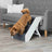 Ein kleiner brauner Hund geht eine graue Haustiertreppe hinunter, die neben einem grauen Sofa steht.