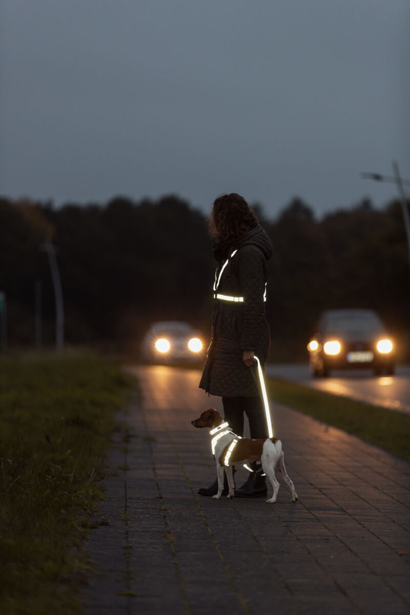 Person mit reflektierender Kleidung und kleinem Hund an Leine auf Gehweg in der Dämmerung.