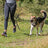 PHO_PRO_DOG_12766-1