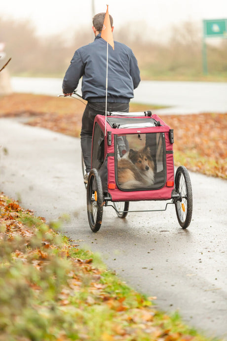 Roter Fahrradanhänger mit Hund wird von einer Person auf nassem Weg geschoben.