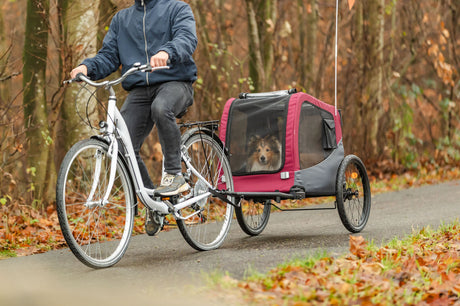 Person fährt Fahrrad mit rot-schwarzem Hundeanhänger, in dem ein Hund sitzt, auf einem Waldweg.