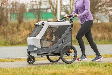 Eine Person schiebt einen Fahrradanhänger mit einem Hund darin auf einem Weg.