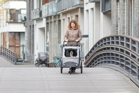 Eine Person schiebt einen grau-schwarzen Hundeanhänger über eine moderne Brücke vor einer städtischen Kulisse.