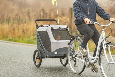 Ein Hund sitzt in einem Fahrradanhänger, der von einer Person auf einem Fahrrad gezogen wird.