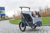 PHO_PRO_DOG_12798-1
