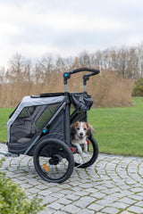 PHO_PRO_DOG_12798-2