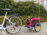 PHO_PRO_DOG_12813-1