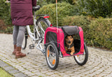 PHO_PRO_DOG_12813-2