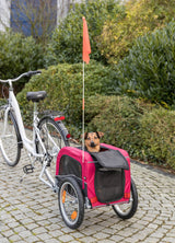PHO_PRO_DOG_12813-4