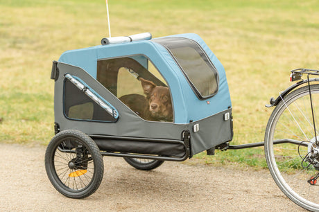Hund sitzt in blauem Fahrradanhänger neben angekoppeltem Fahrrad auf einem Weg.