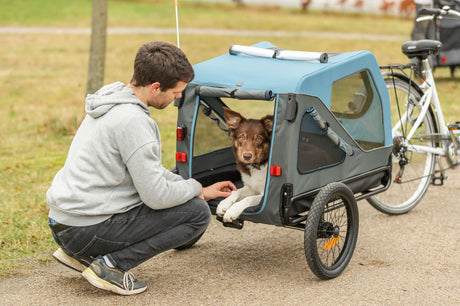 Ein Hund sitzt in einem blauen Fahrradanhänger, während eine Person daneben kniet.