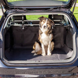 PHO_PRO_DOG_1319-1