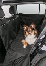PHO_PRO_DOG_13203-1