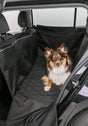 PHO_PRO_DOG_13203-1