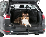 PHO_PRO_DOG_13204-2