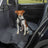 Ein kleiner Hund sitzt auf der Rückbank eines Autos und trägt ein schwarzes Hundegeschirr.