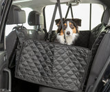 PHO_PRO_DOG_13232-4