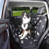 PHO_PRO_DOG_13235-1