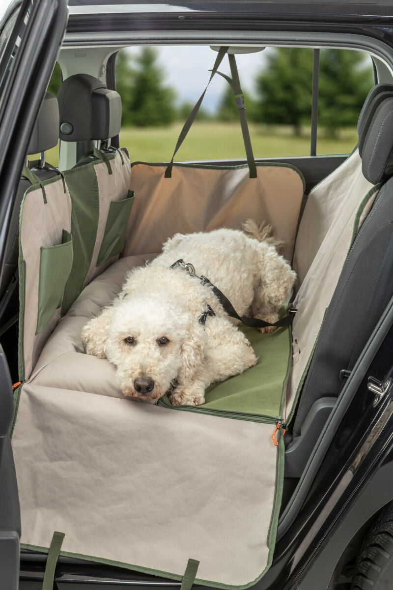 Ein weißer Hund liegt auf einer grün-beigen Schutzdecke auf dem Rücksitz eines Autos.