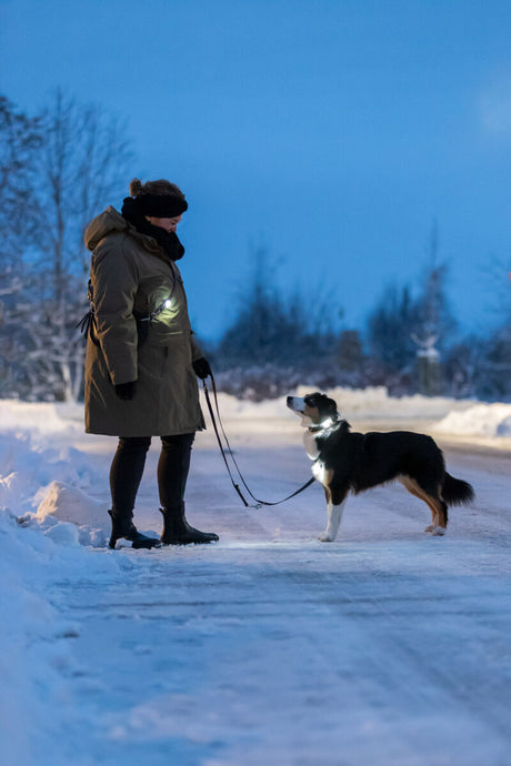 PHO_PRO_DOG_13450-2