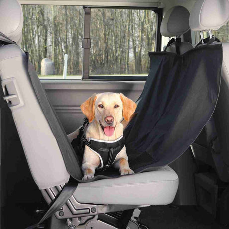 PHO_PRO_DOG_1348-1