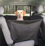PHO_PRO_DOG_1348-2