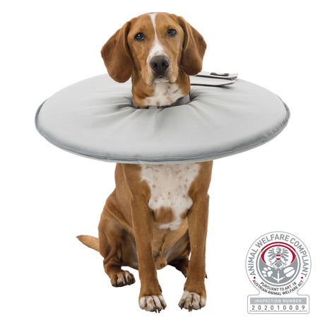 PHO_PRO_DOG_19421-19422-19423-19424-19425-19426-19427-2