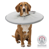 PHO_PRO_DOG_19421-19422-19423-19424-19425-19426-19427-2