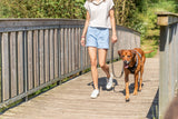 Frau spaziert mit braunem Hund an der Leine über eine hölzerne Brücke bei sonnigem Wetter.