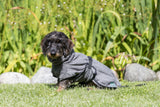 PHO_PRO_DOG_23571-2