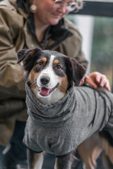 Ein Hund mit schwarzem, weißem und braunem Fell trägt einen grauen Hundemantel; eine Person steht im Hintergrund.