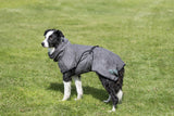 PHO_PRO_DOG_23574-2