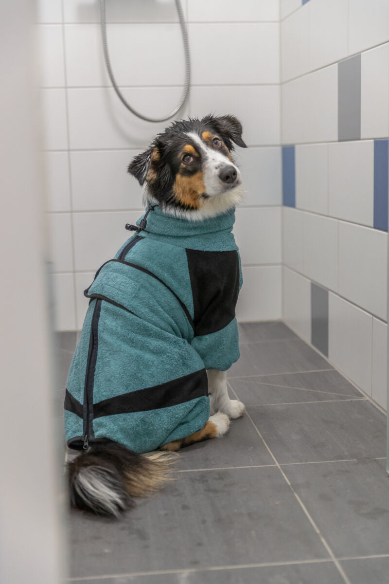 Hund in blau-schwarzem Mantel sitzt auf grauen Fliesen in einem gefliesten Raum mit Duschkopf.