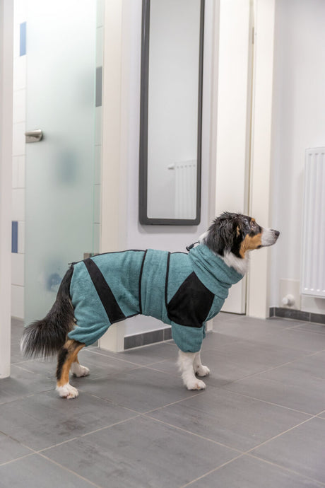 Hund in blauem und schwarzem Hundemantel steht seitlich auf grauem Fliesenboden in einem Bad.