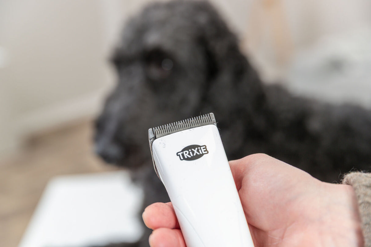 Eine Hand hält einen weißen Haarschneider mit der Aufschrift "Trixie" im Vordergrund, unscharfer schwarzer Hund im Hintergrund.