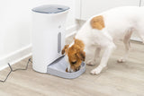 PHO_PRO_DOG_24343-1
