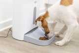 PHO_PRO_DOG_24343-2