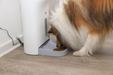 PHO_PRO_DOG_24343-5