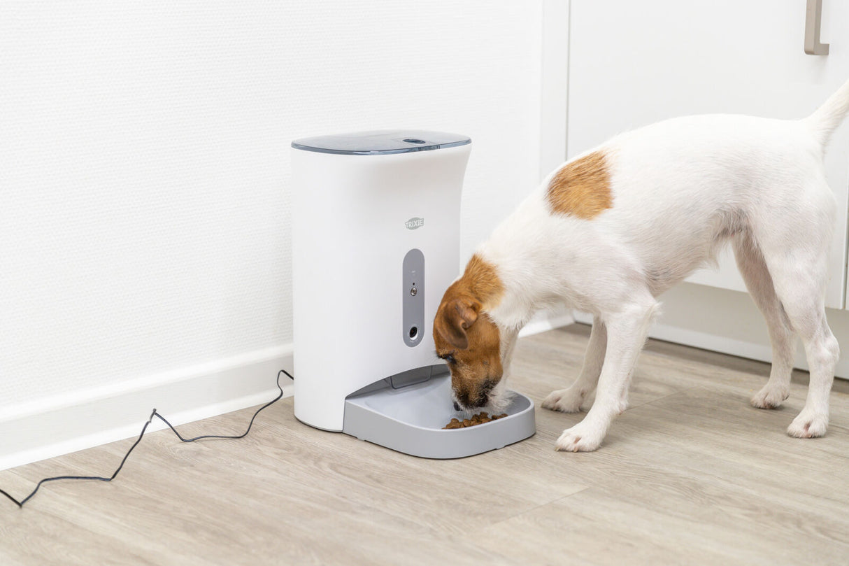 Ein weiß-brauner Hund frisst aus einem grauen Futternapf, der mit einem weißen, elektrisch anmutenden Futterspender verbunden ist.