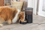 PHO_PRO_DOG_24346-1