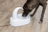 PHO_PRO_DOG_24444-1