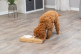 PHO_PRO_DOG_24539-2