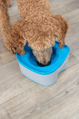 PHO_PRO_DOG_24601-3